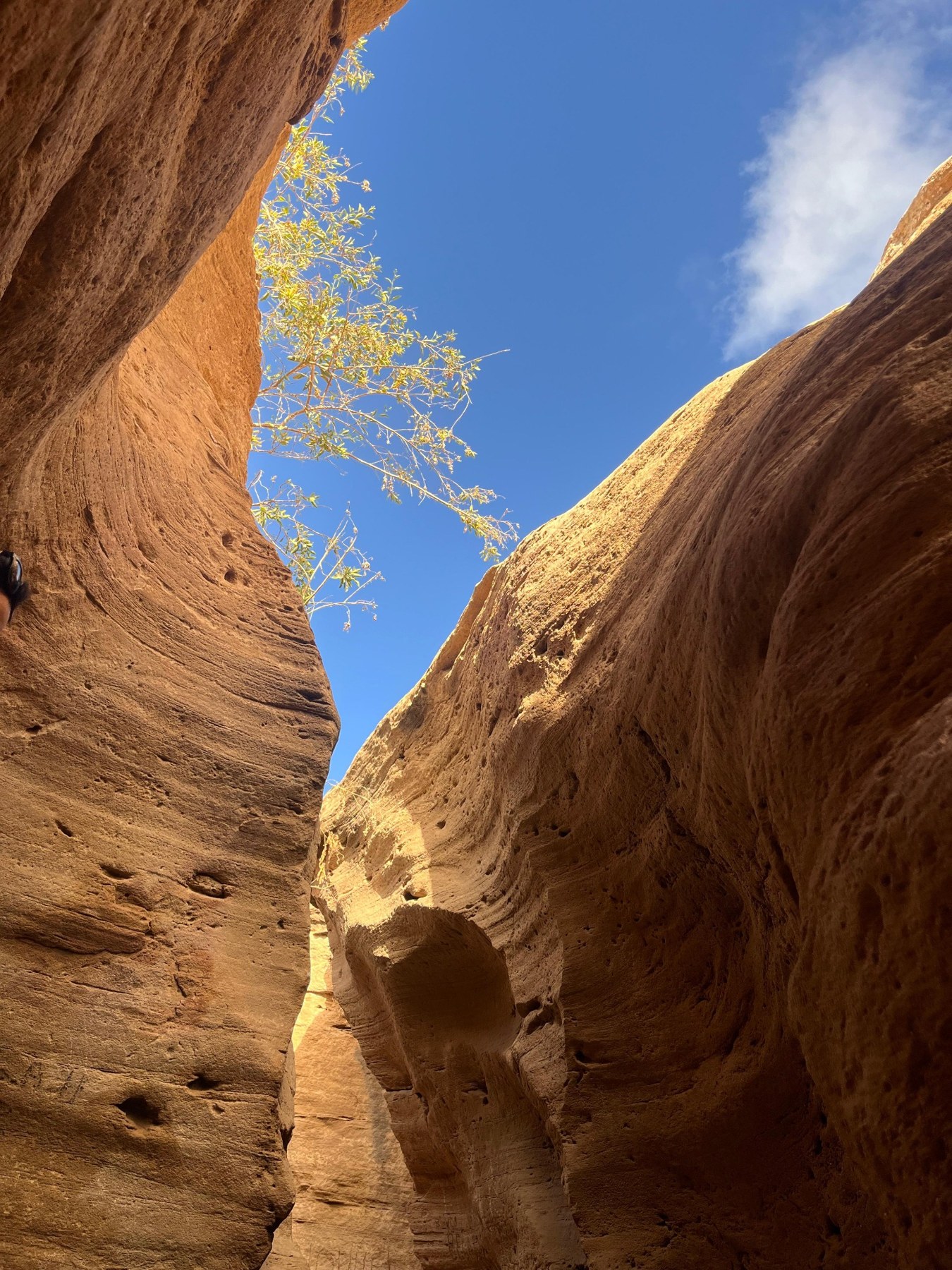 Warm sandstone walls of the canyon near Timlalin